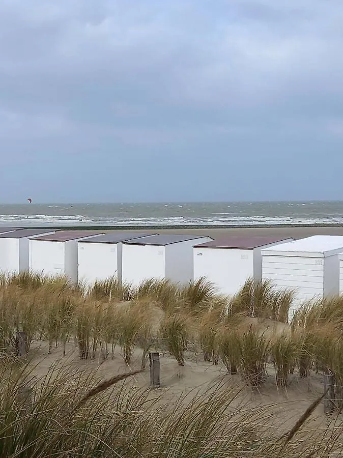 Campsite Caravan Aan Zee Arnani Middelkerke Belgium